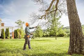 Fort Myers, FL  Tree Services Company